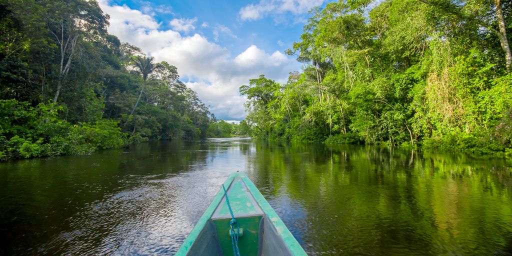 The Amazonian Trilemma: Why the Economy, Nature, and People Must Advance Together