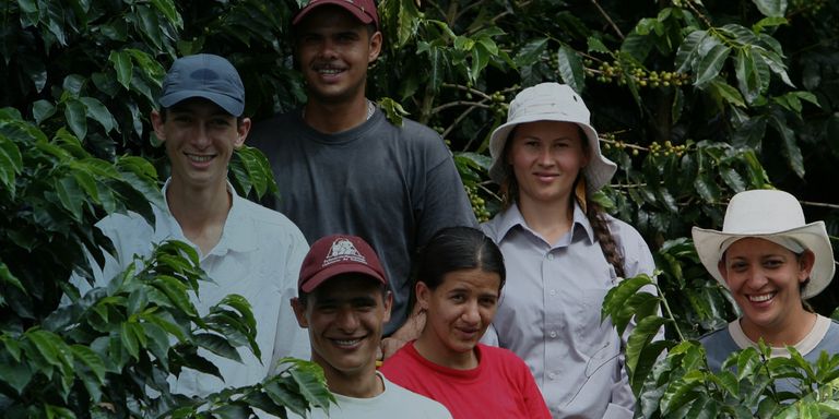 Grupo de personas en medio de una plantación de café. Desarrollo Social - Banco Interamericano de Desarrollo - BID 