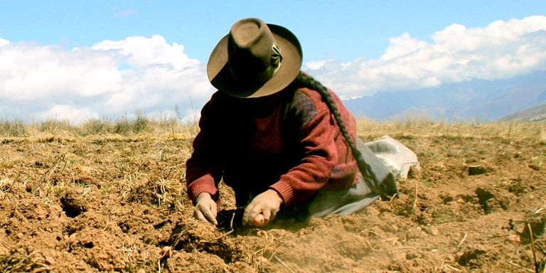 A person digging in the dirt. Environment - Inter-American Development Bank - IDB