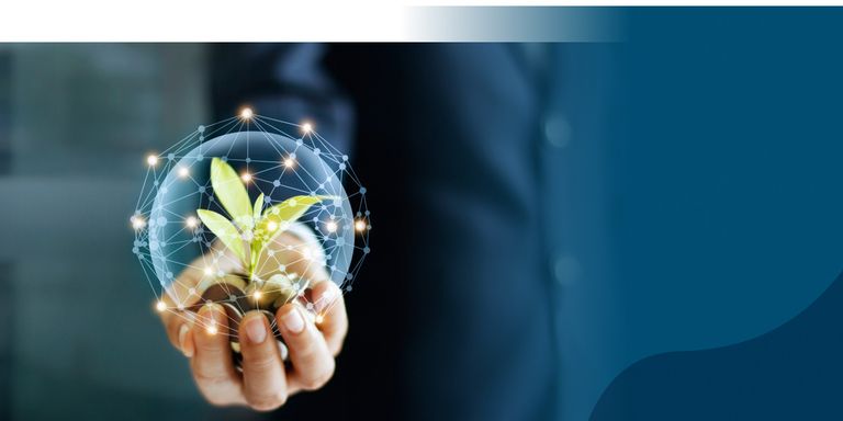 a person holding a plant in their hand.- Inter American Development Bank