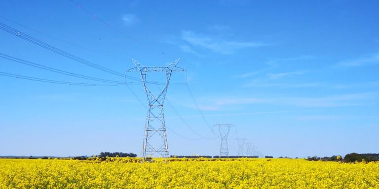 High-voltage transmission towers crossing a vast field of yellow flowers under a clear blue sky - Inter-American Development Bank - IDB - Project Procurement