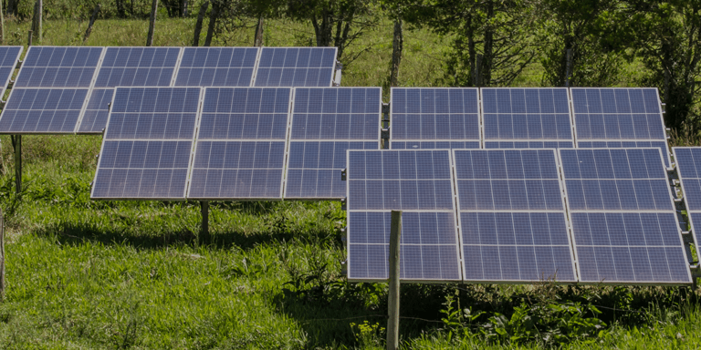 Top view of solar panels over forest - Inter American Development Bank - Amazonia