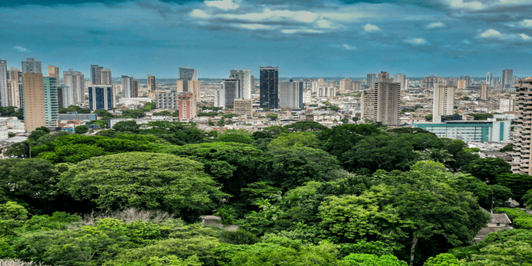 Panoramic view of forest and around tall buildings - Inter American Development Bank - Amazonia