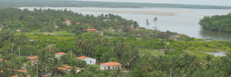 Houses and a forest with a river in the background - Inter American Development Bank - Amazon