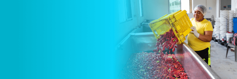 Dark-haired woman throwing a box of peppers into a container for washing - Inter American Development Bank - Agriculture and Food Security