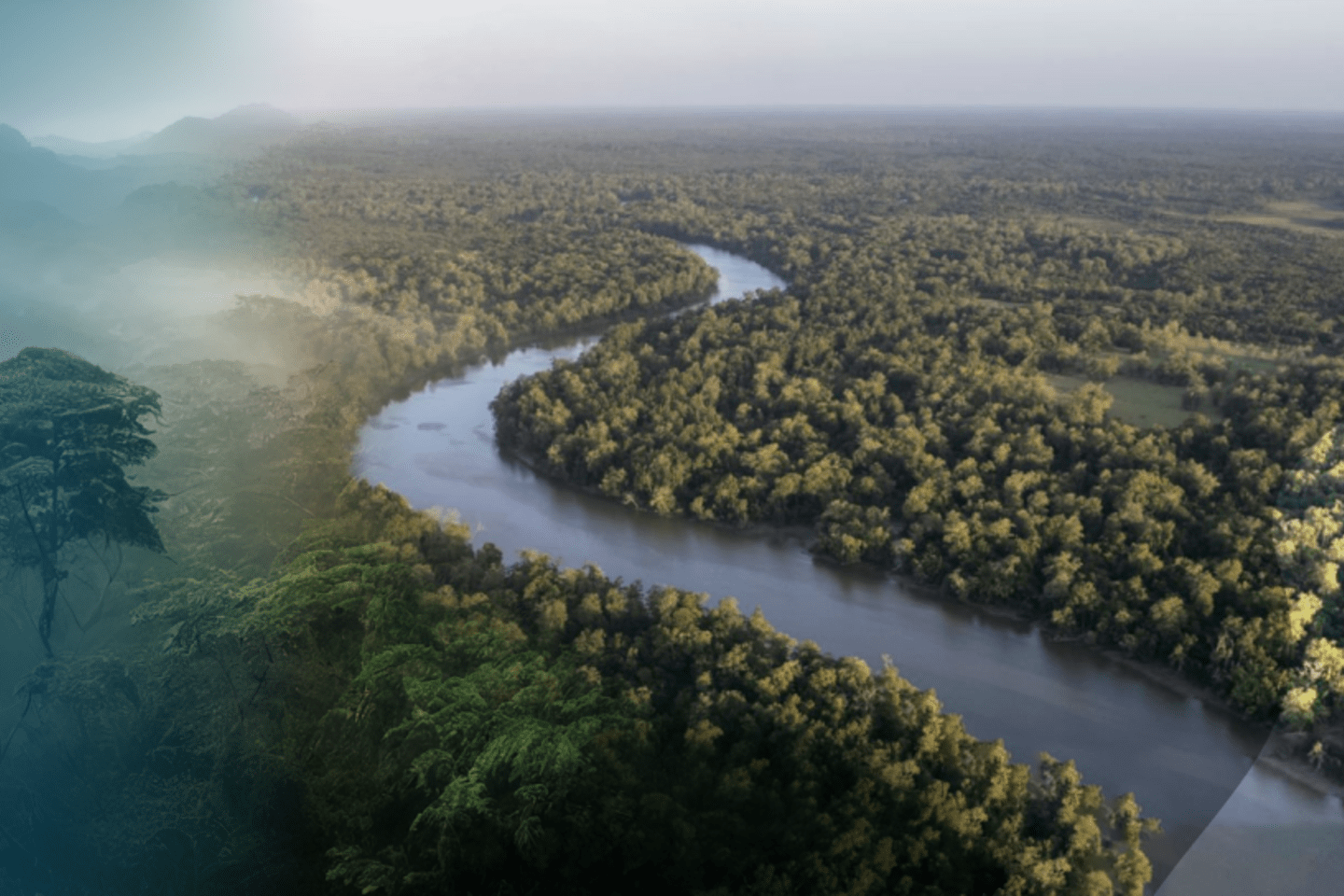    Vista panorámica de un río en la selva amazónica. Inclusión - Banco Interamericano de Desarrollo - BID 