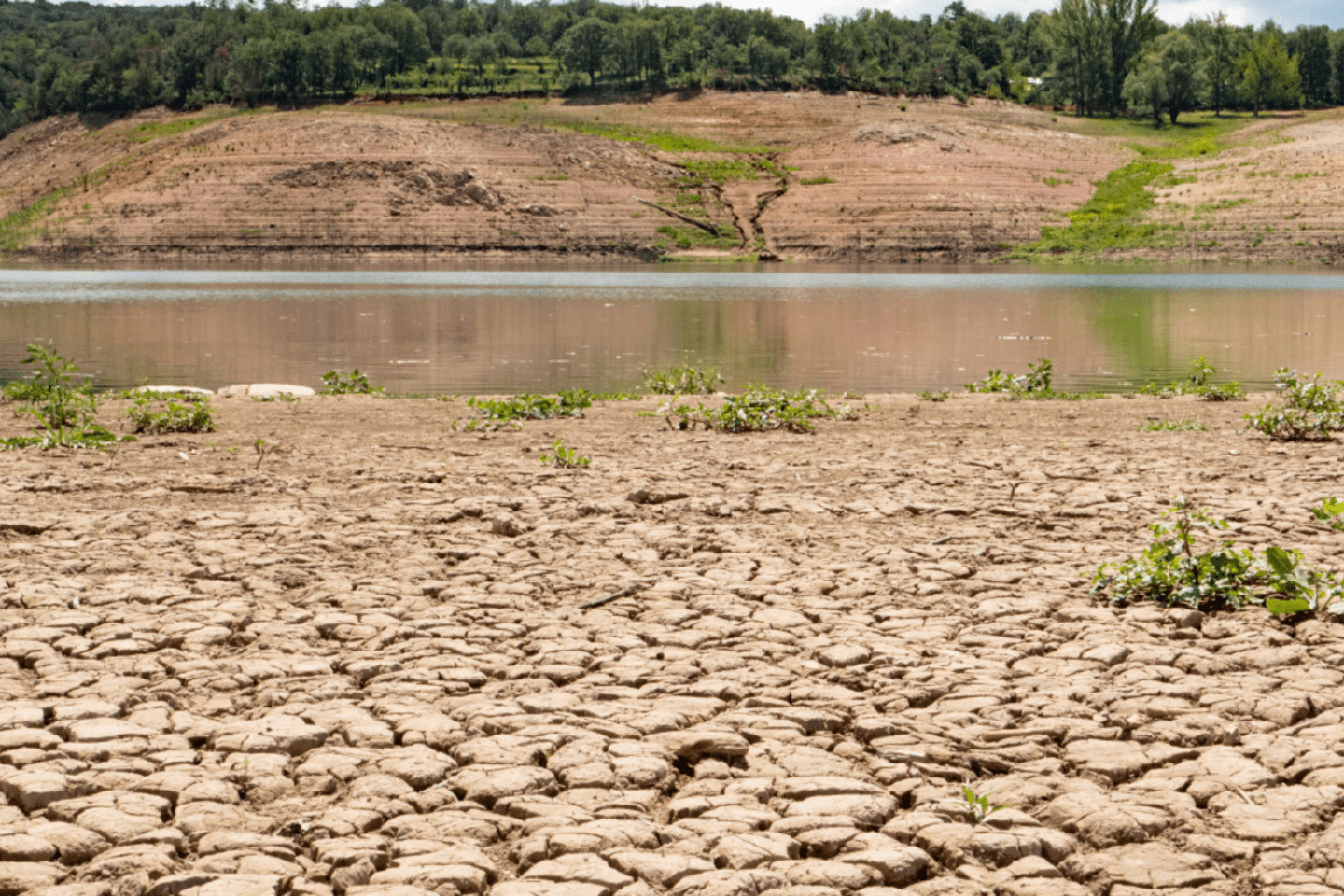 Primer plano de tierra agrietada por la sequía, con un lago poco profundo en el fondo para ilustrar soluciones para salvar el agua.  