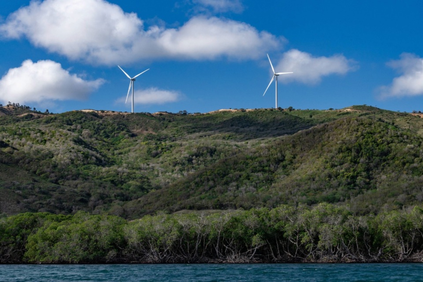 Wind turbines, mountain and mangrove