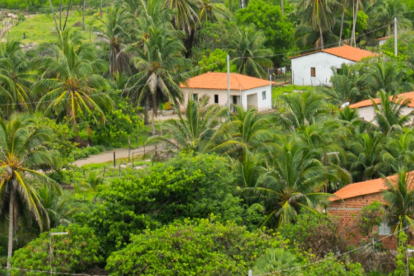 Landscape amazon city - Inter-American Development Bank - IDB