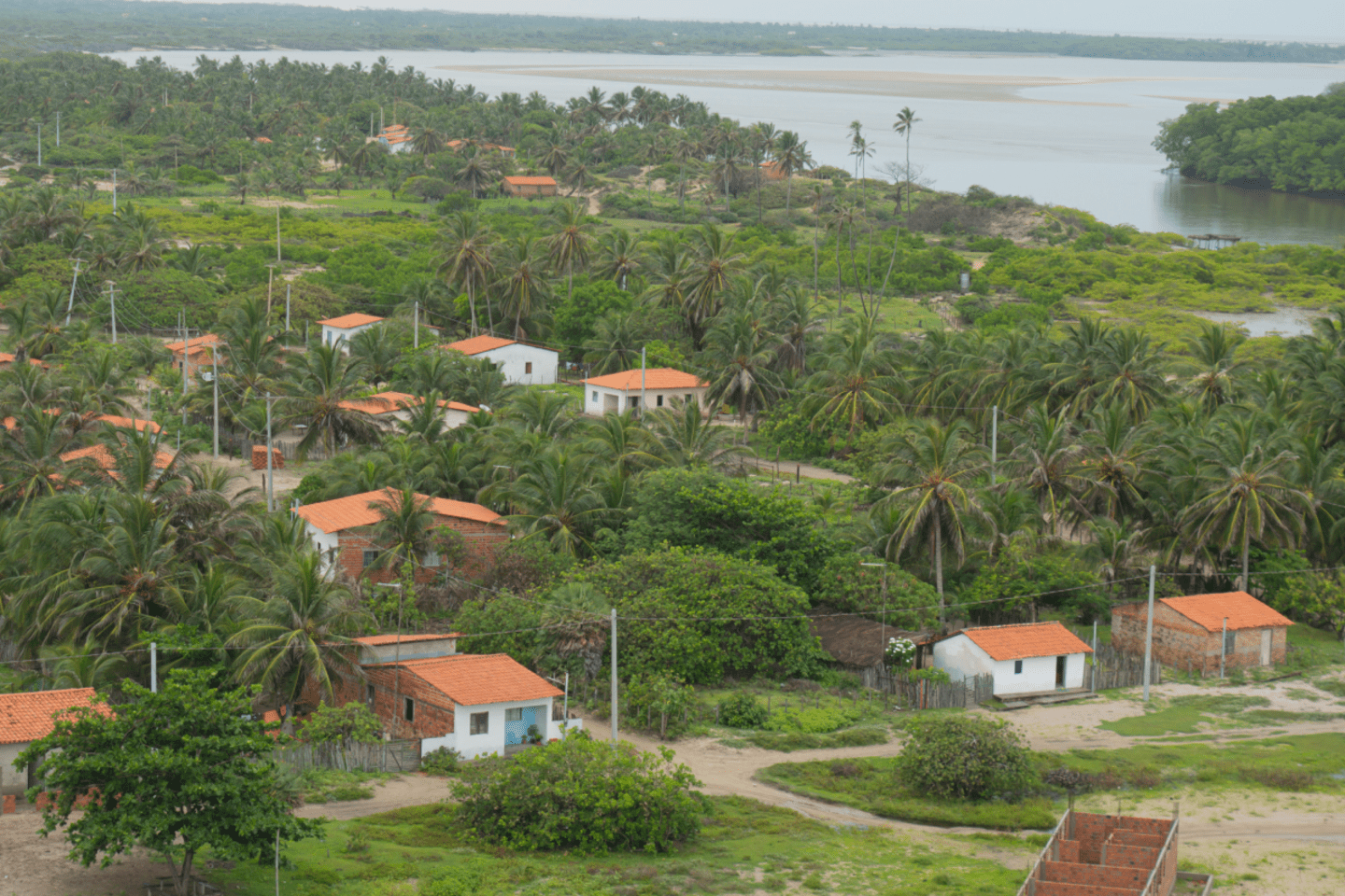 Houses and a forest with a river in the background - Inter American Development Bank - Amazon