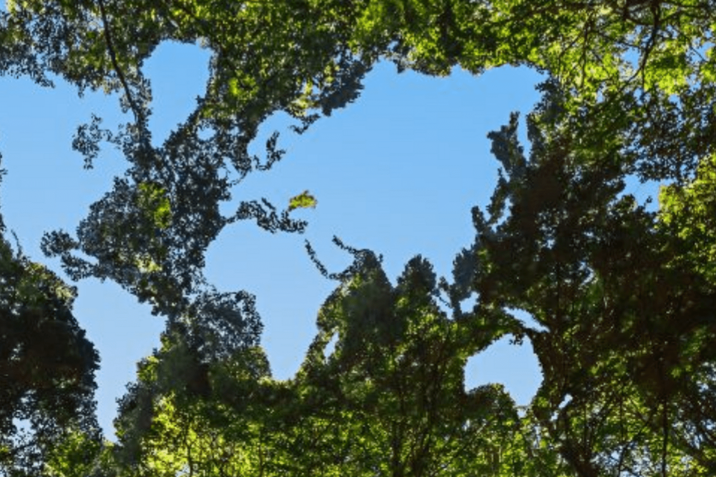 políticas industriales verdes