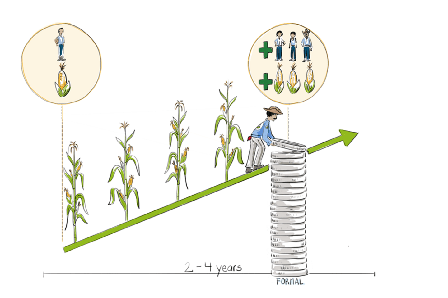 Liquidity or Capital? How Access to Credit Helps Rural Producers in Mexico