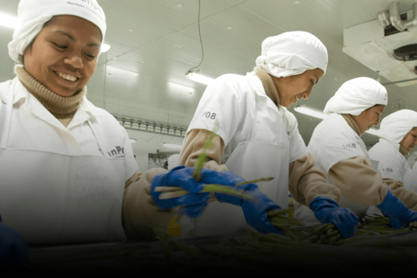 Unlocking Peru’s Agricultural Export Potential