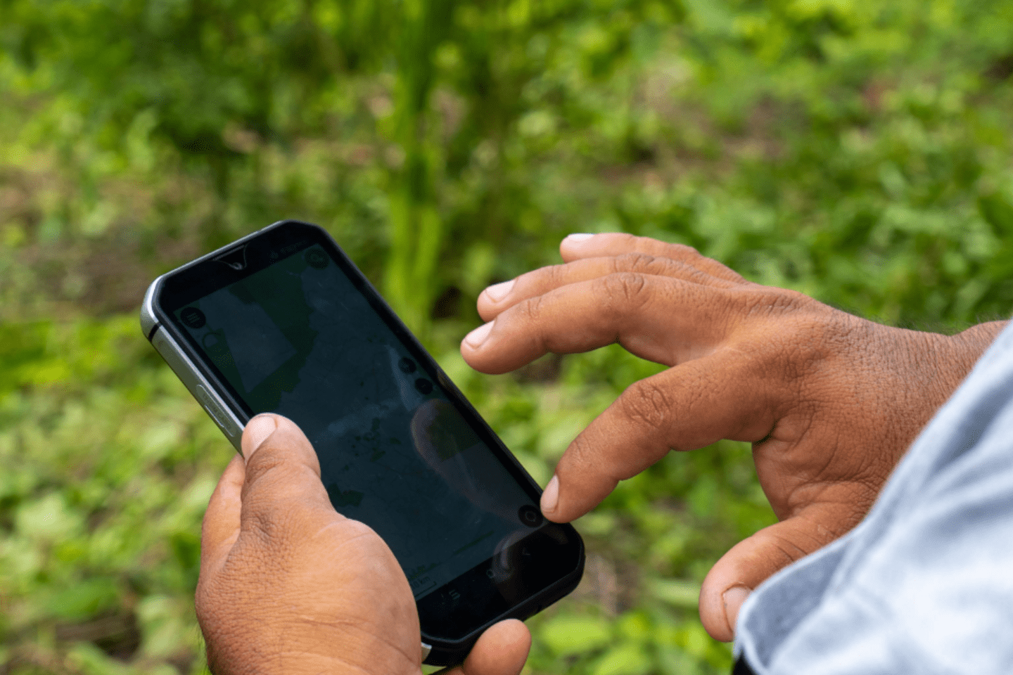 Manos utilizando un celular en un ambiente rodeado de naturaleza. 