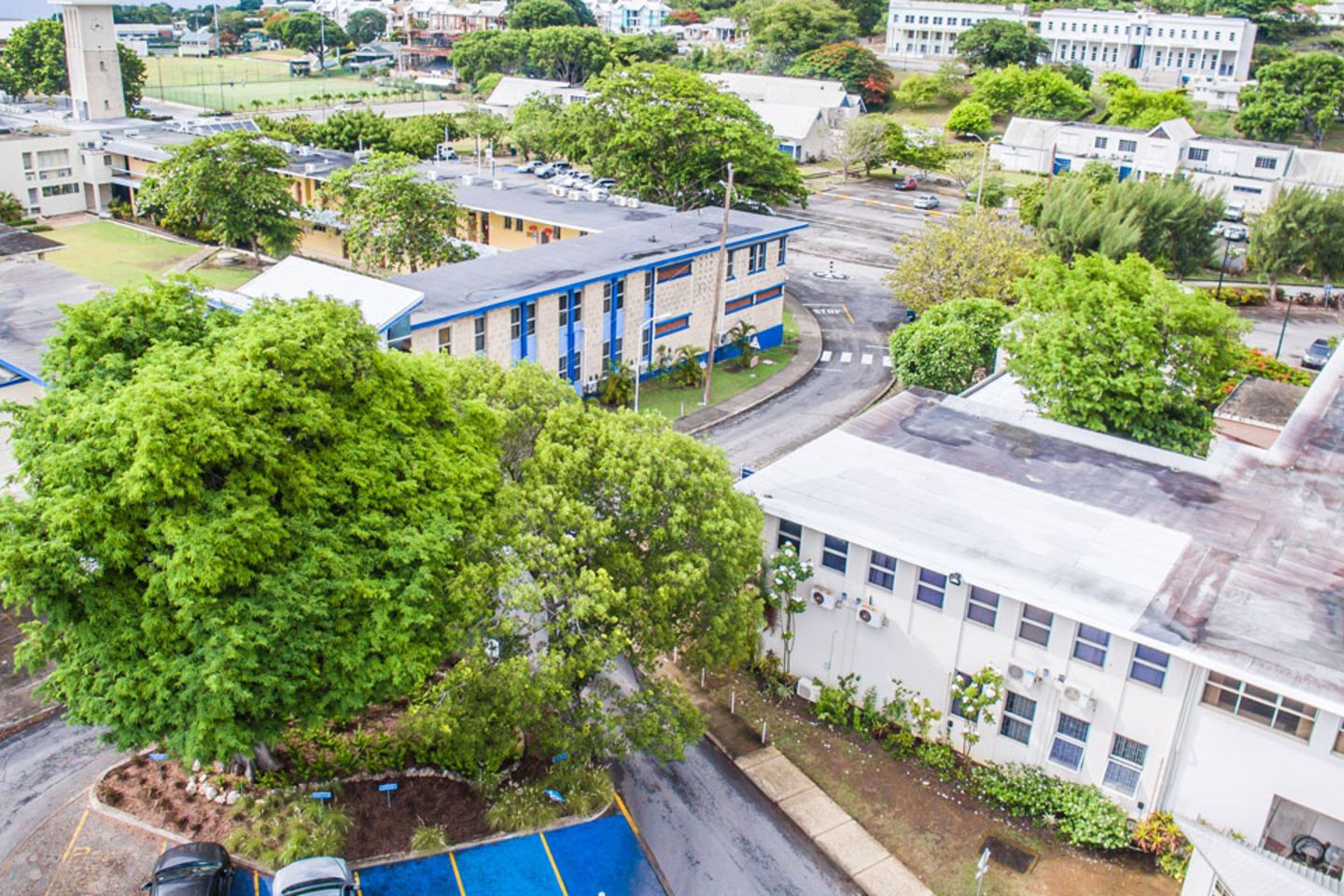 drone shot of resilient schools in barbados
