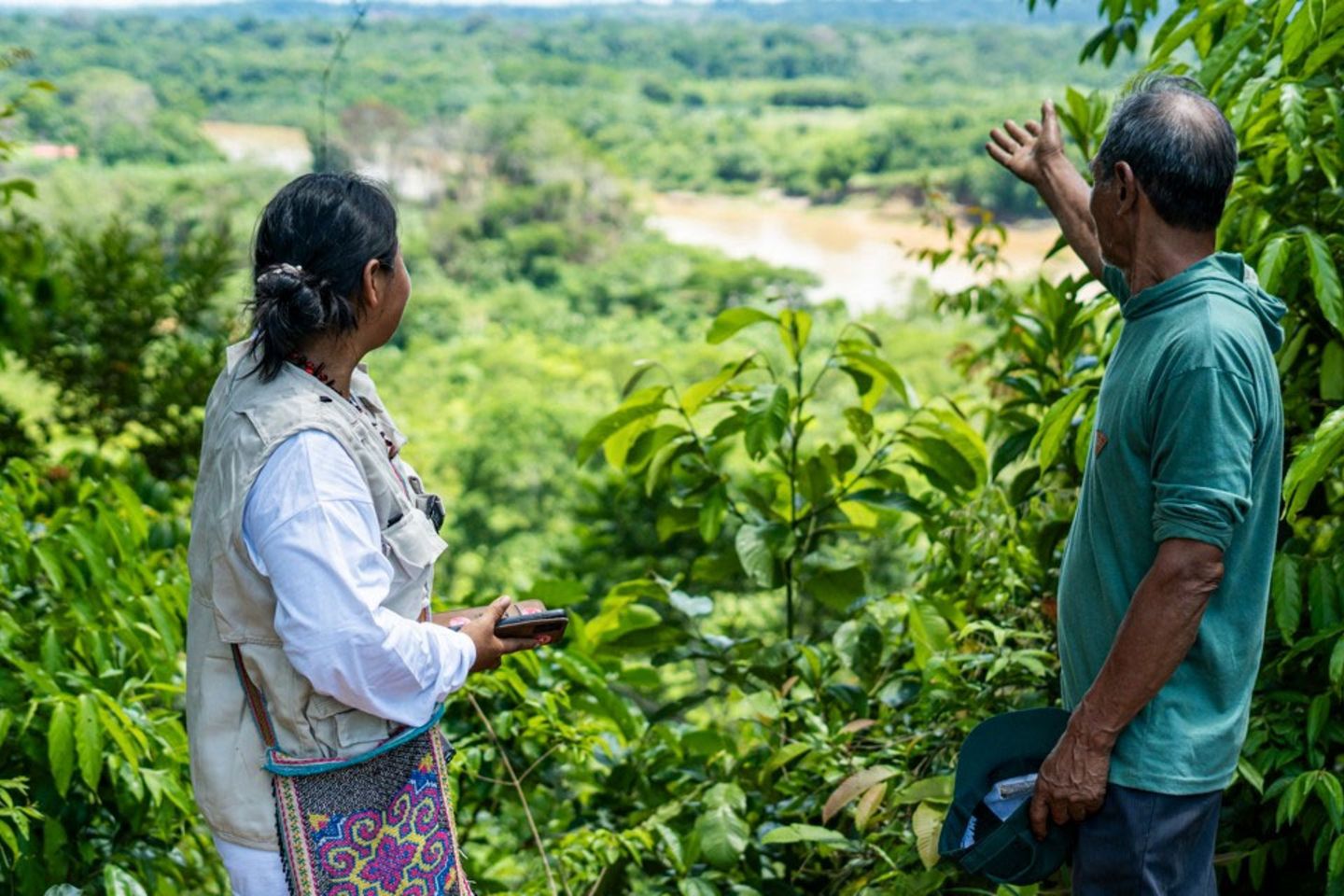 dos personas de brazos abiertos admirando un bosque verde