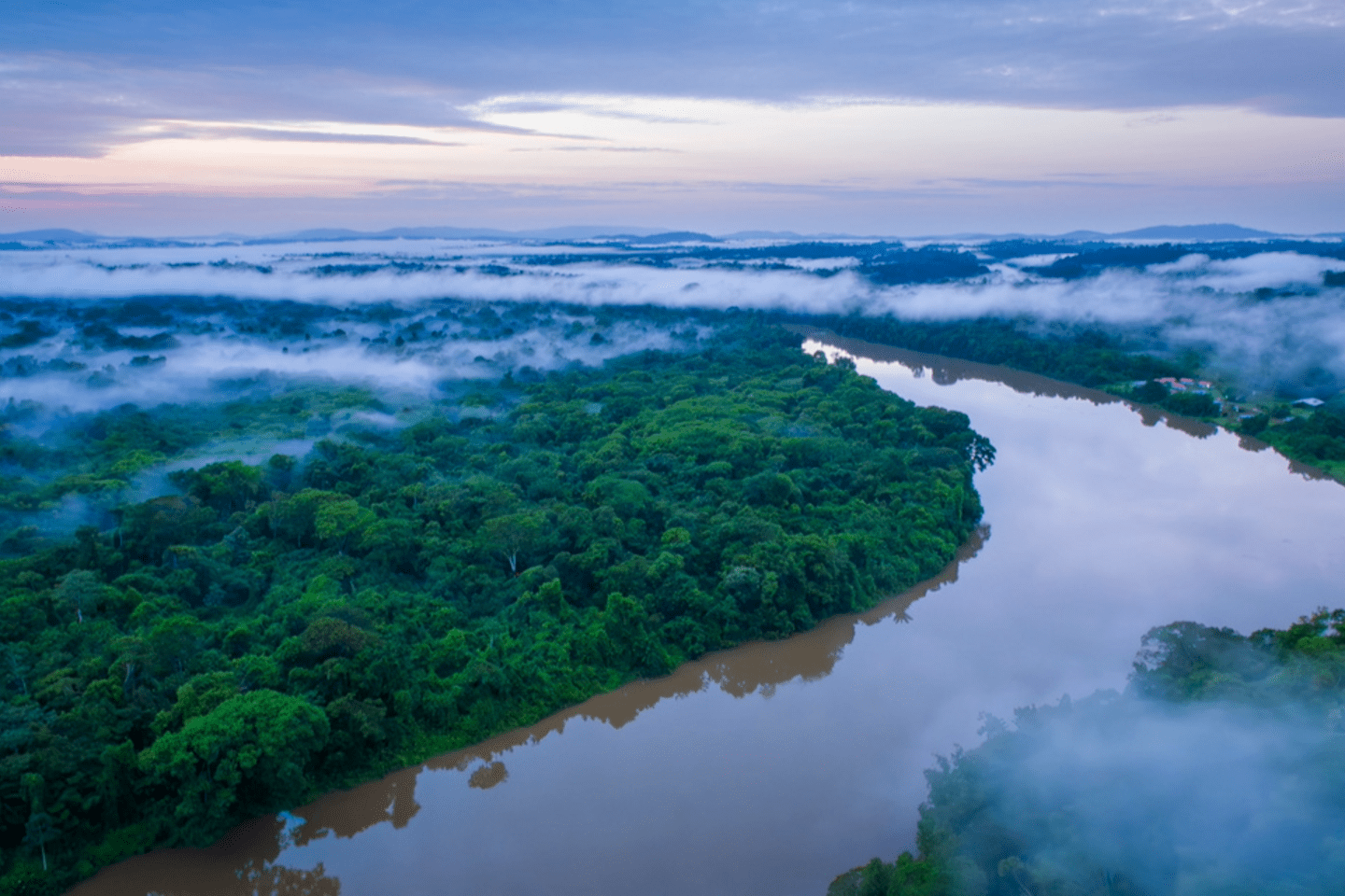 Aerial photo of the Amazon river in the afternoon