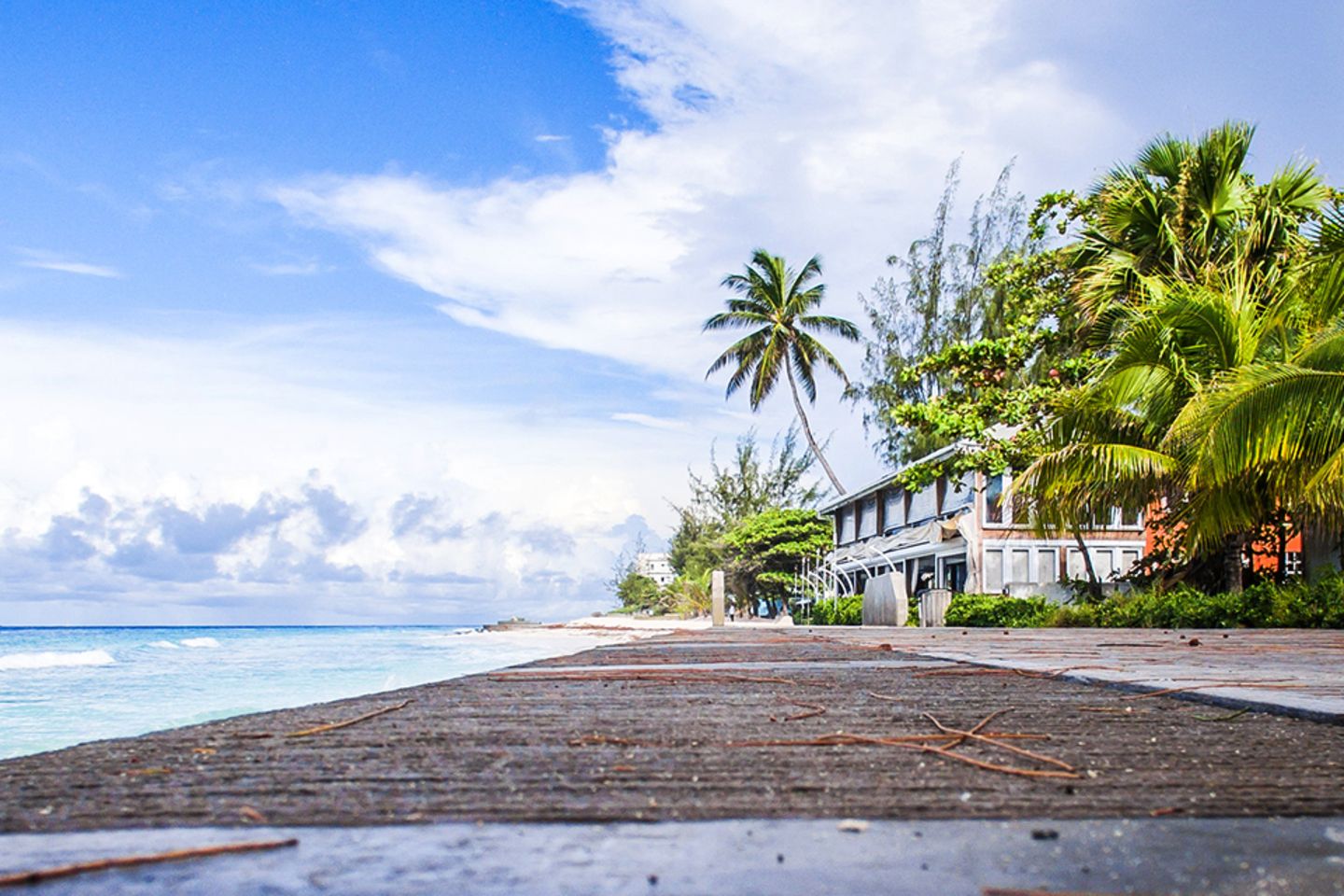 View of the sea (Bahamas)
