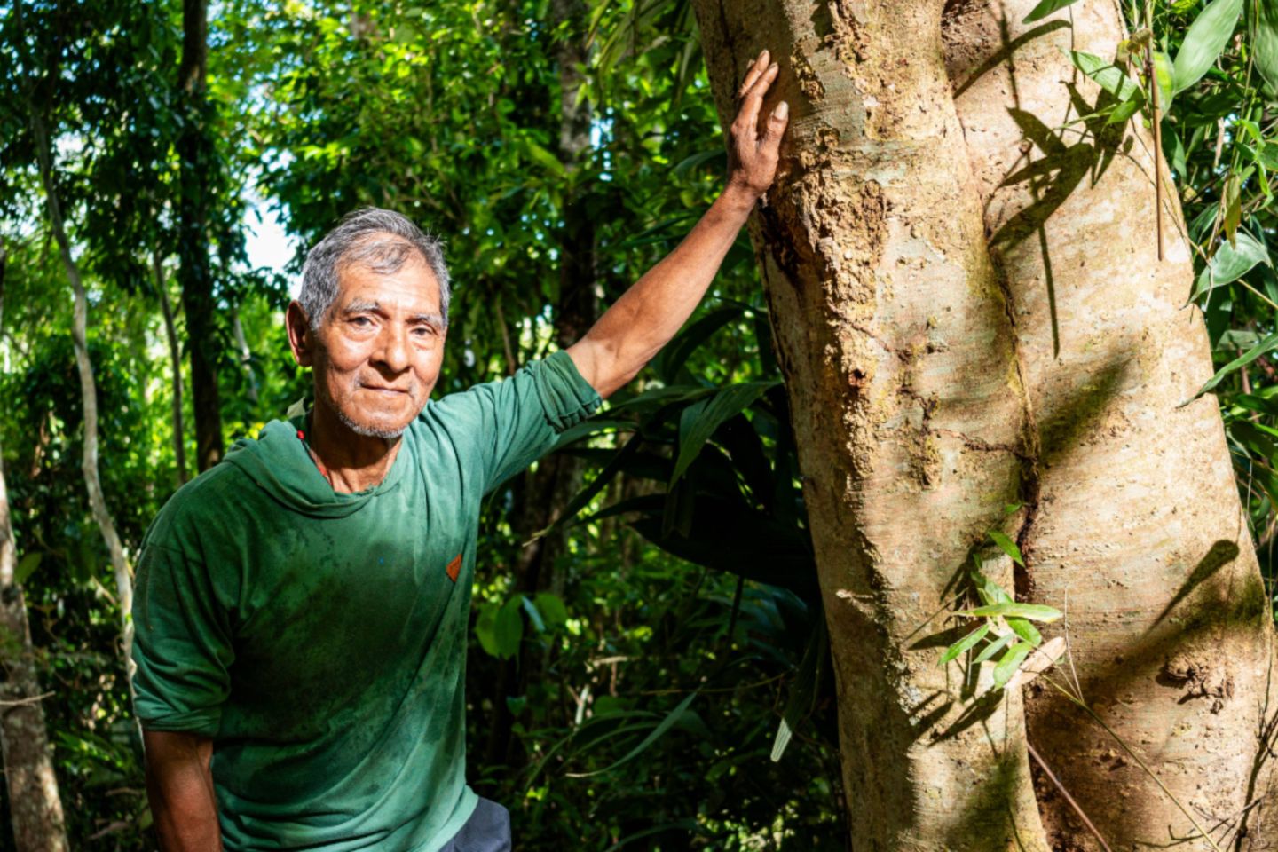 person laying on tree in peru amazon
