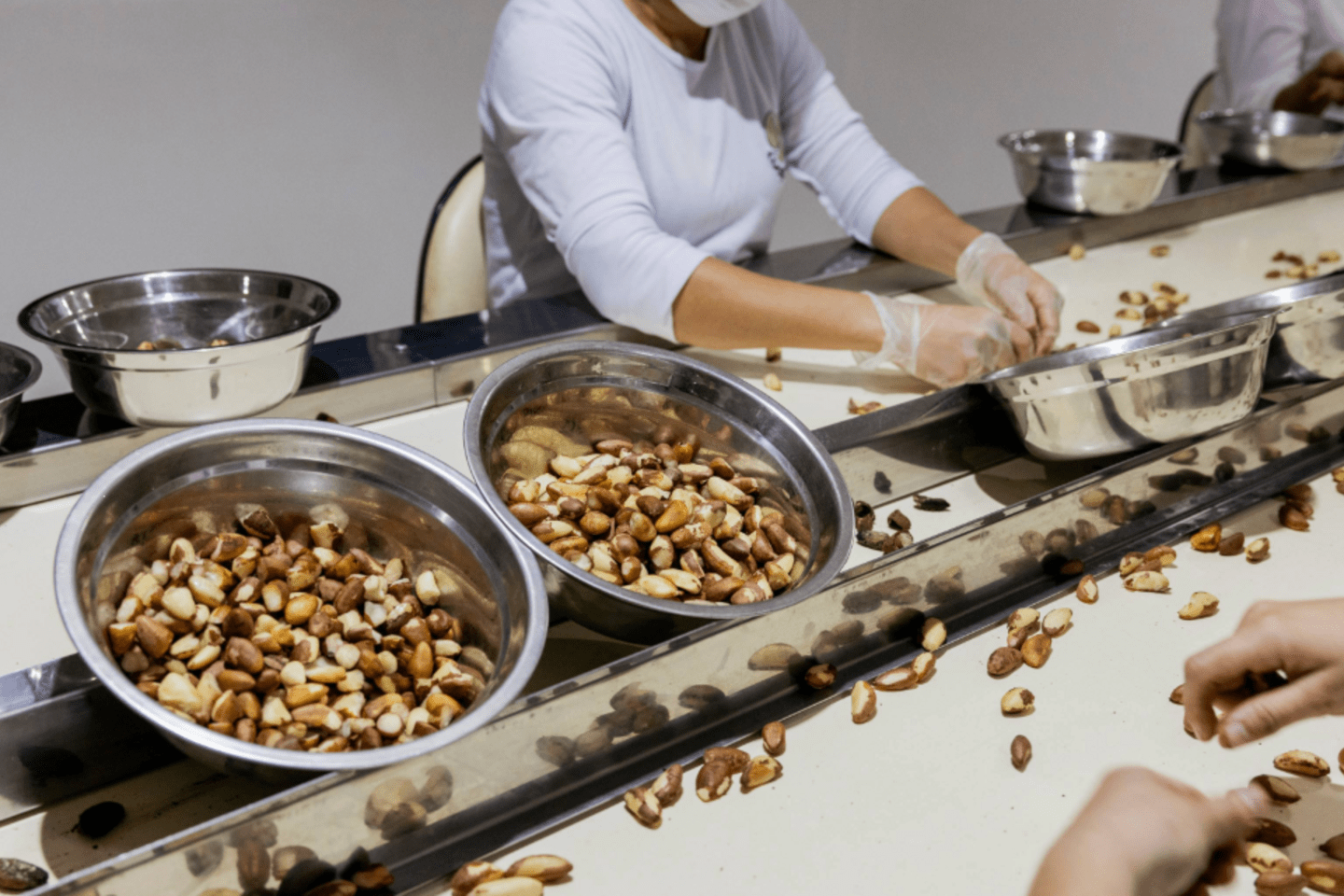 Logística, financiamiento y políticas públicas: lo que más preocupa a las empresas agroalimentarias de América Latina y el Caribe