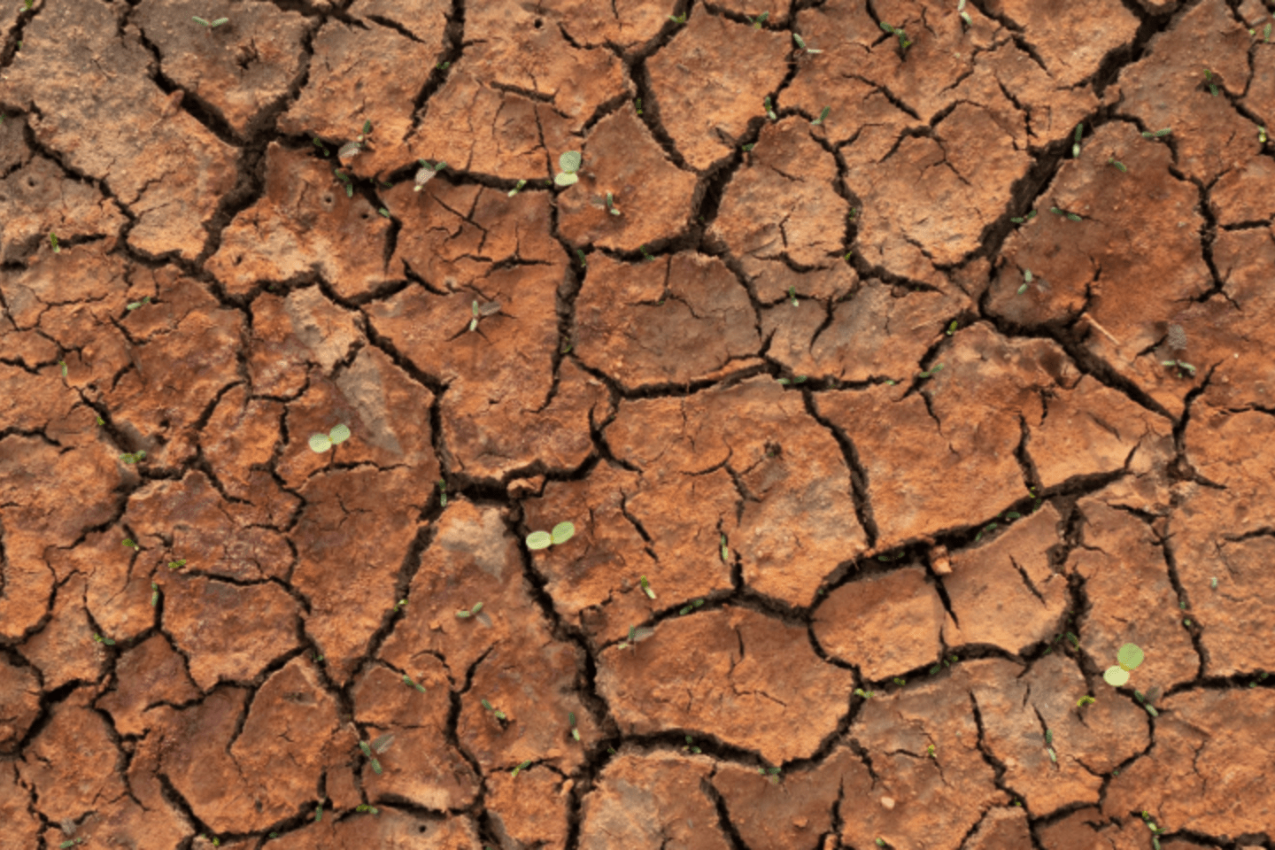 drought impacts