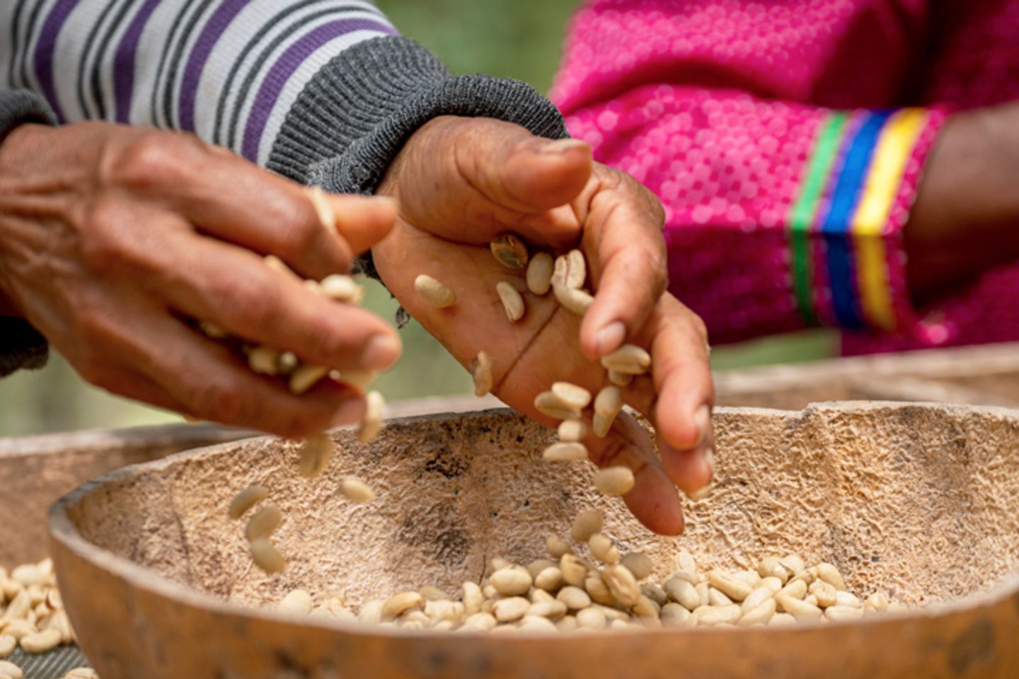 Hands sorting pale seeds into a large wooden bowl.