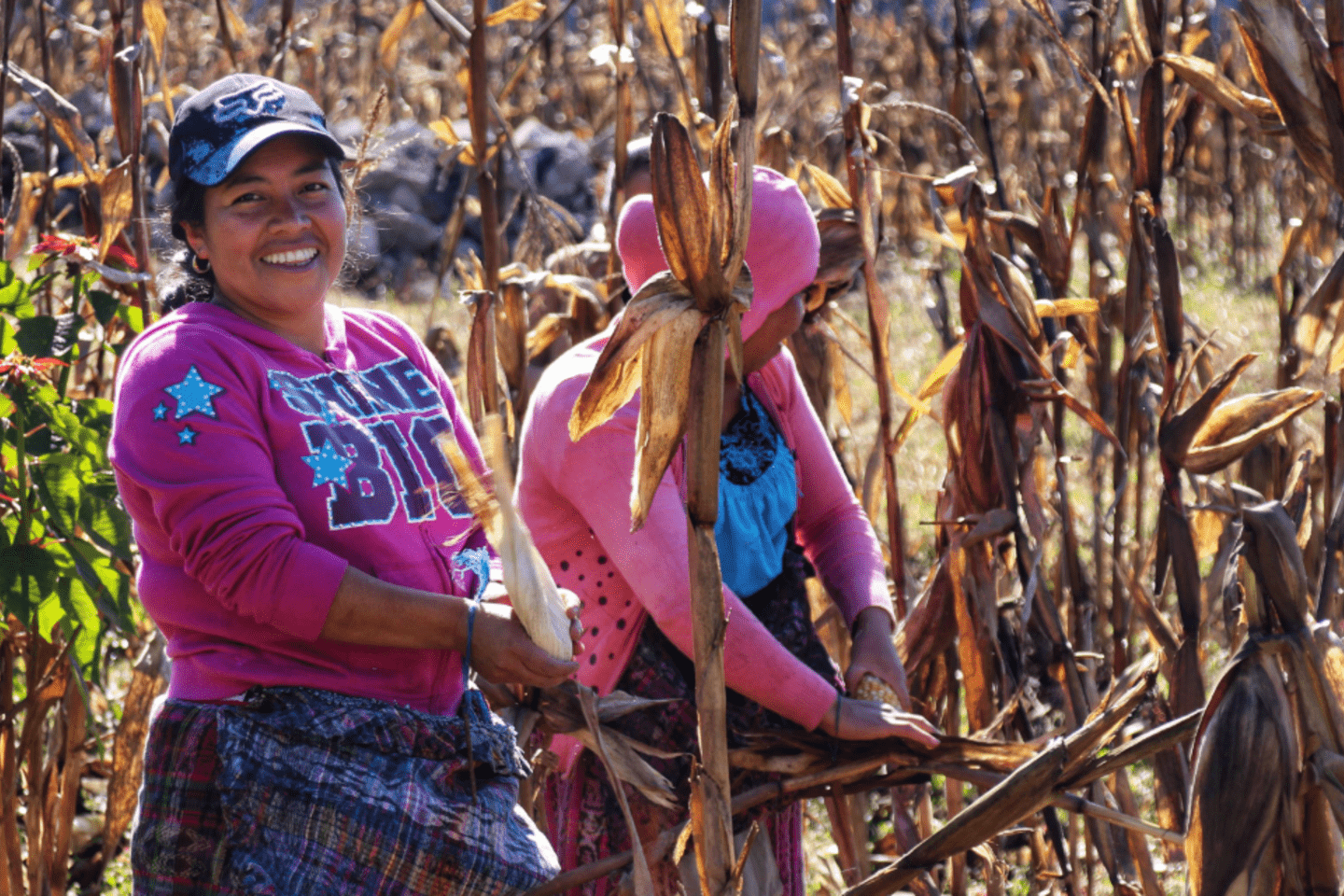 Las-mujeres-producen-alimentos,-pero-enfrentan-mayor-inseguridad-alimentaria-una-paradoja-en-América-Latina-y-el-Caribe