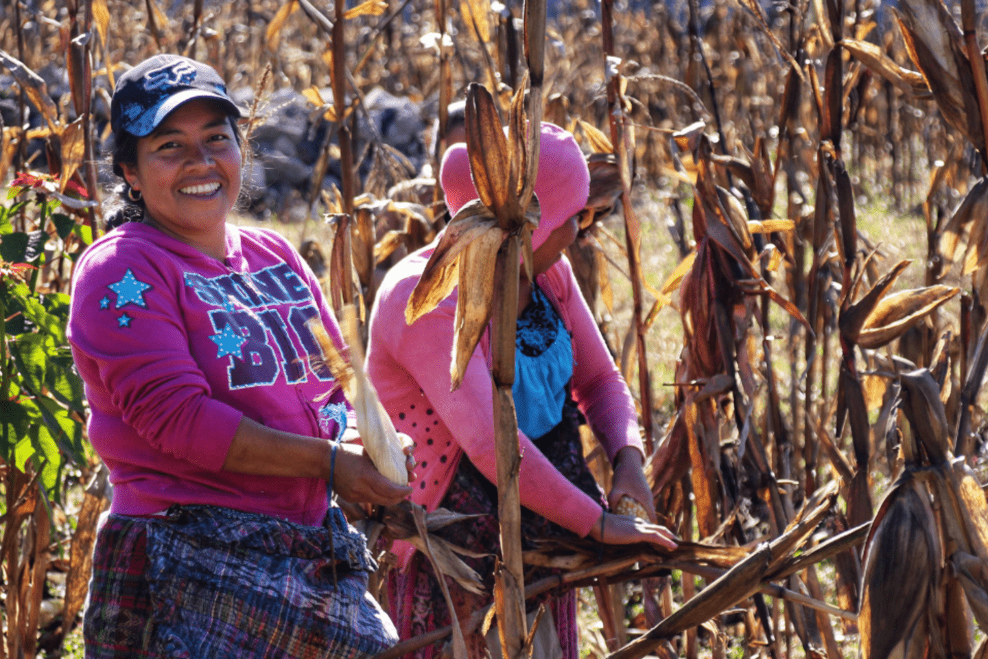 Las-mujeres-producen-alimentos,-pero-enfrentan-mayor-inseguridad-alimentaria-una-paradoja-en-América-Latina-y-el-Caribe