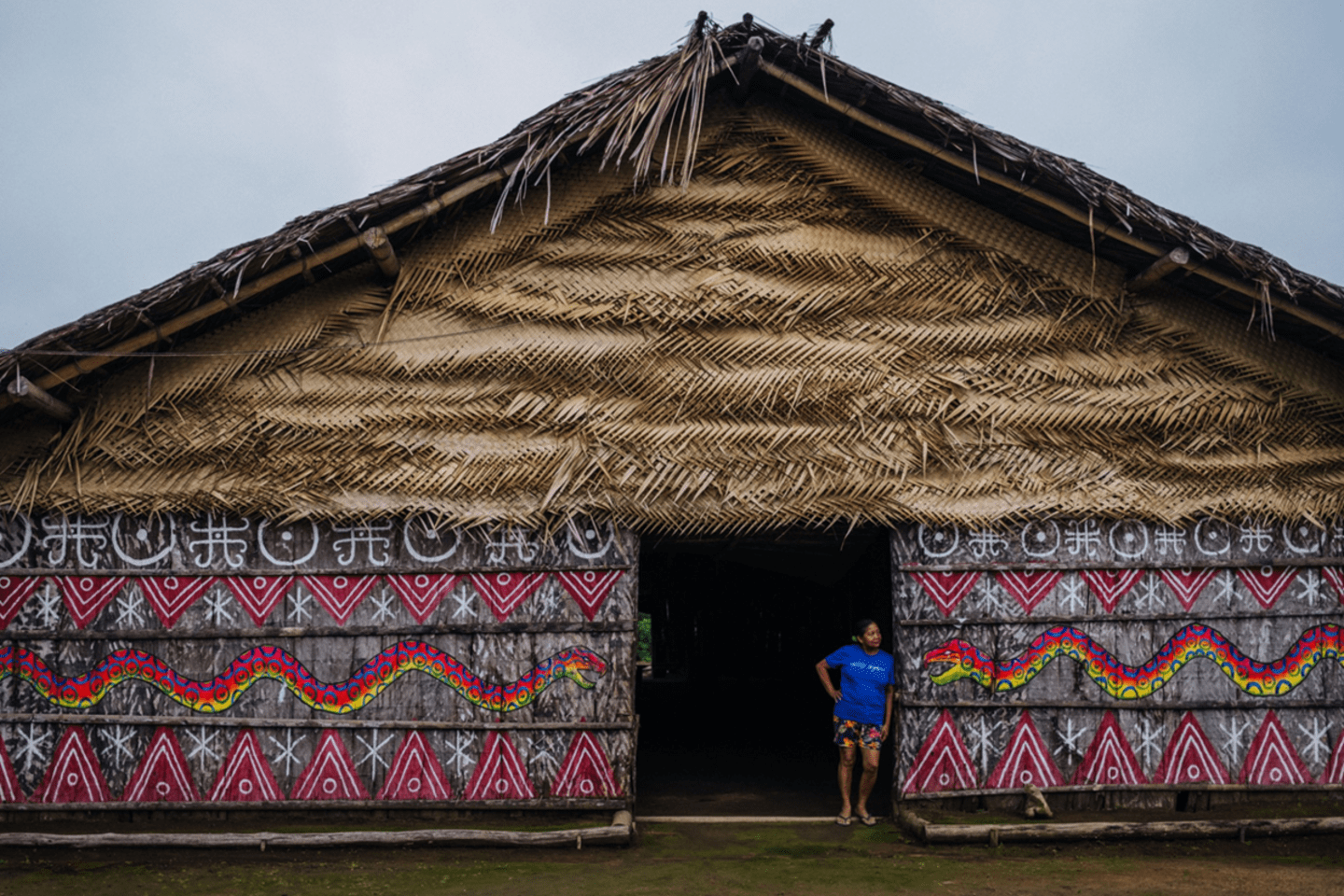 Ancient Amazonia