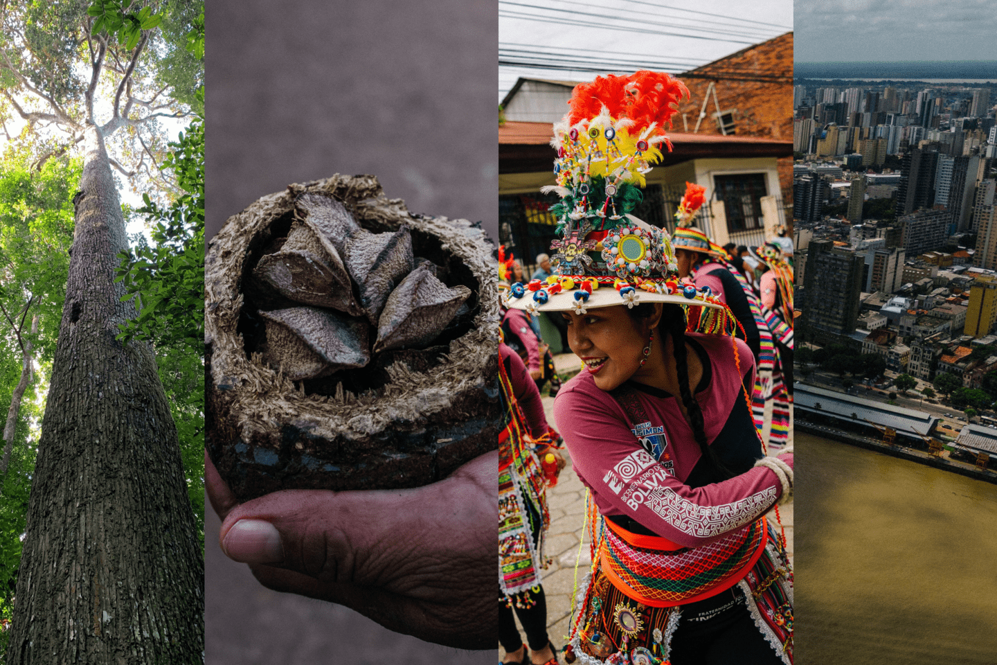 Composite image showing a tall Amazonian tree, an Amazon nut held in a hand, a woman in traditional Indigenous dress, and an aerial view of an Amazonian city.