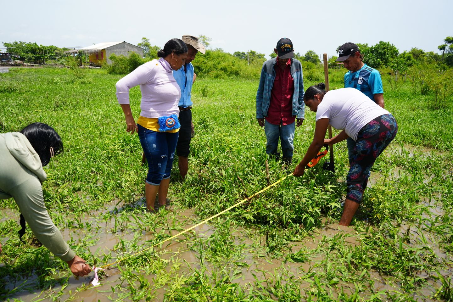 In the Ciénaga Grande de Santa Marta, environmental restoration is driving governance, inclusion, and local development.