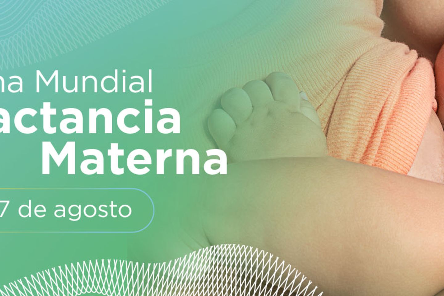 Lactancia materna BID