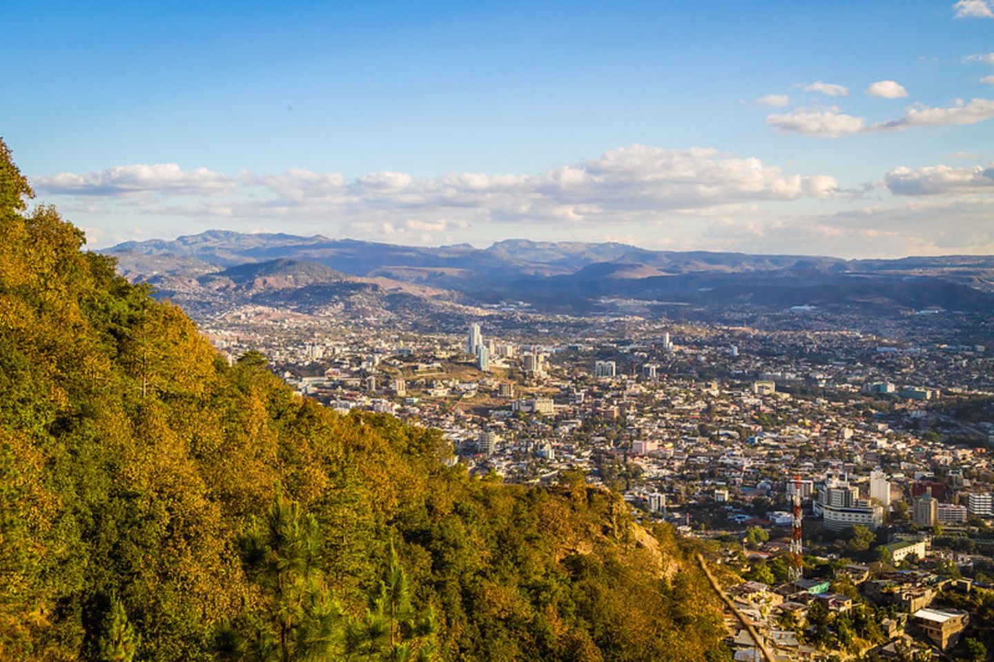 14087333822_0e7b9a502d_c