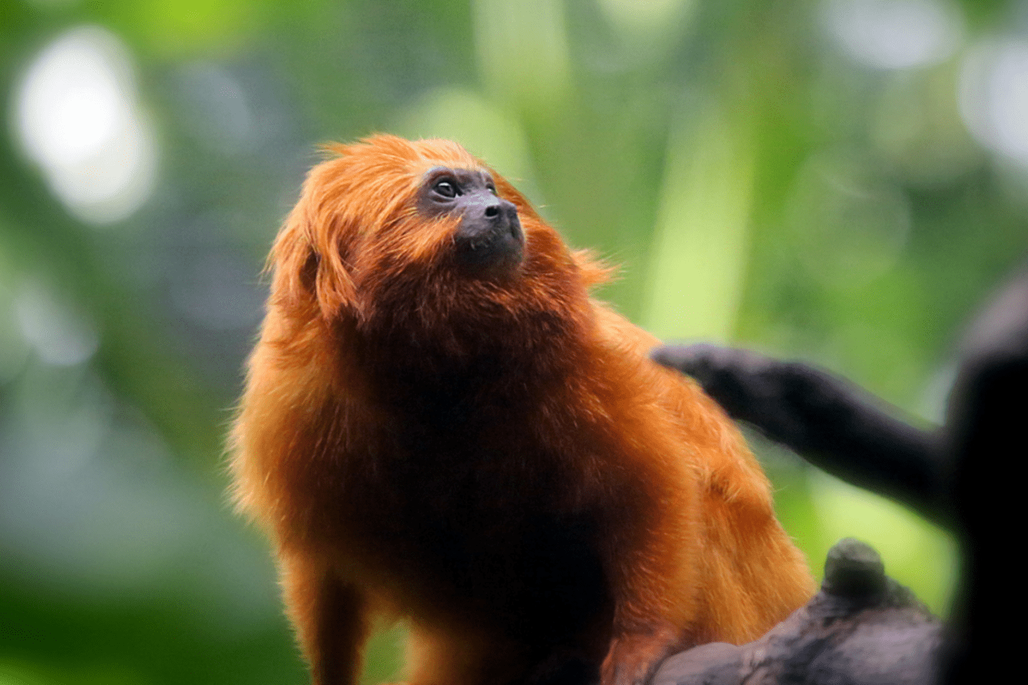 2021-02-Investimento-em-natureza