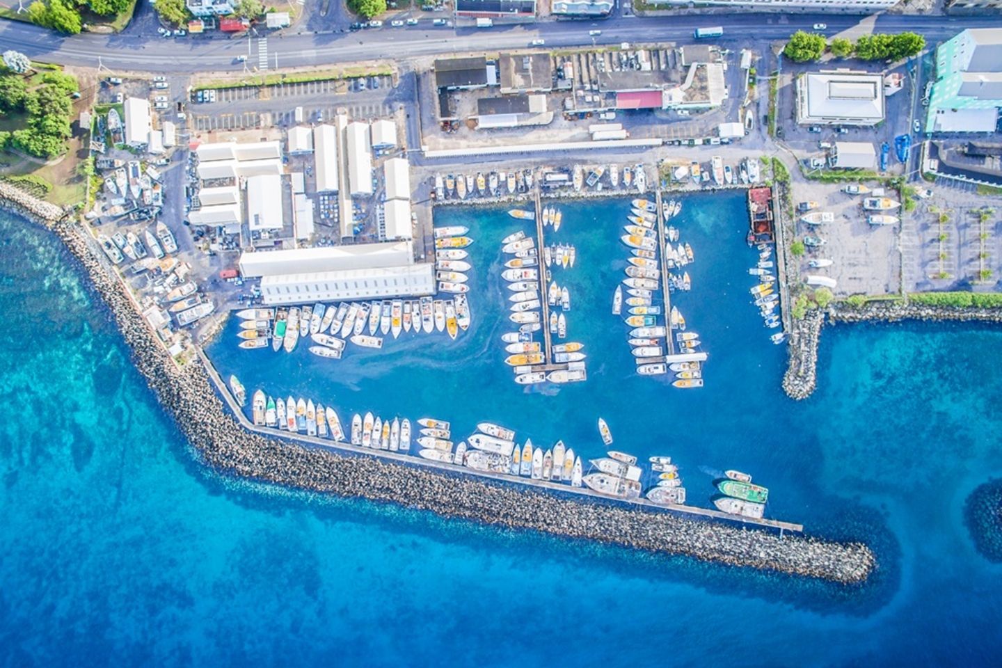 28933557381_c7d698915d_o