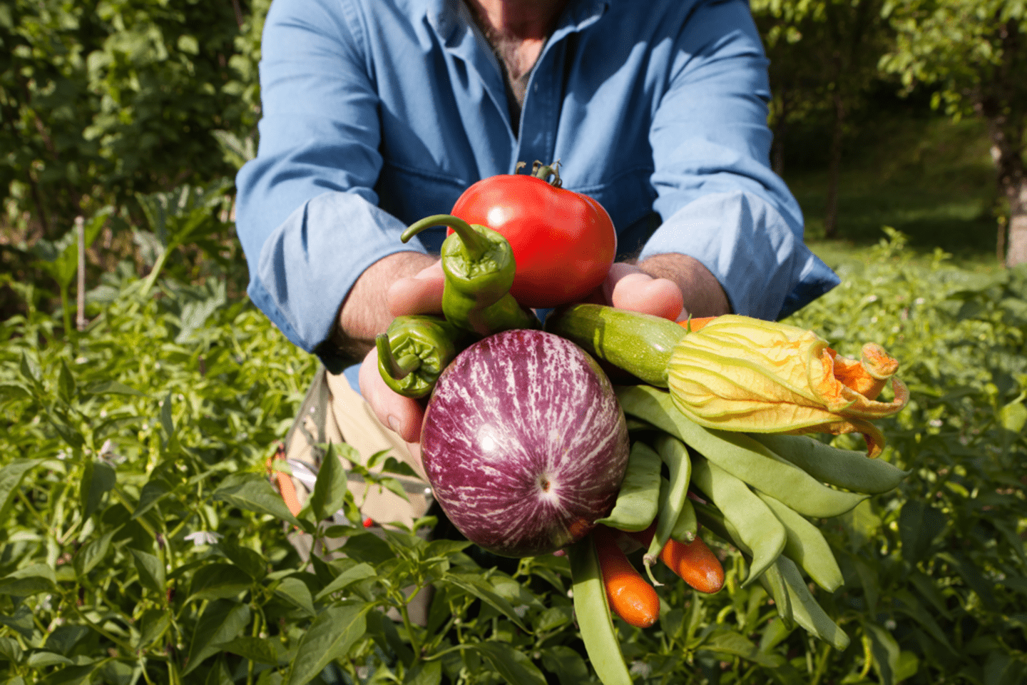 AdobeStock_292128447