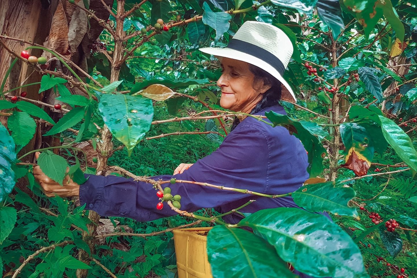 AdobeStock_432515409-min