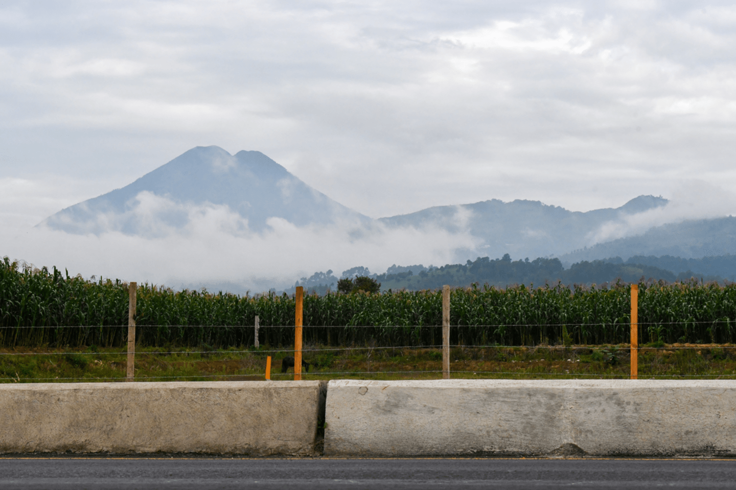 AdobeStock_442631268