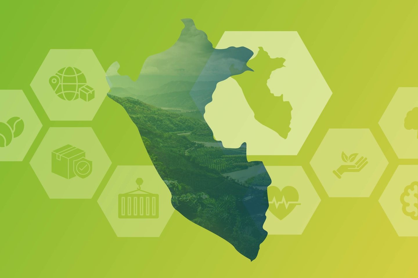 BANER_Amazona_Perú(2) (1)