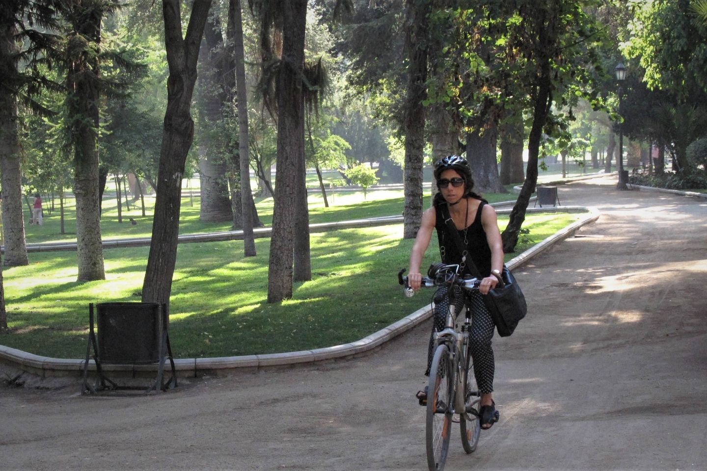 Bicicleta en Santiago3