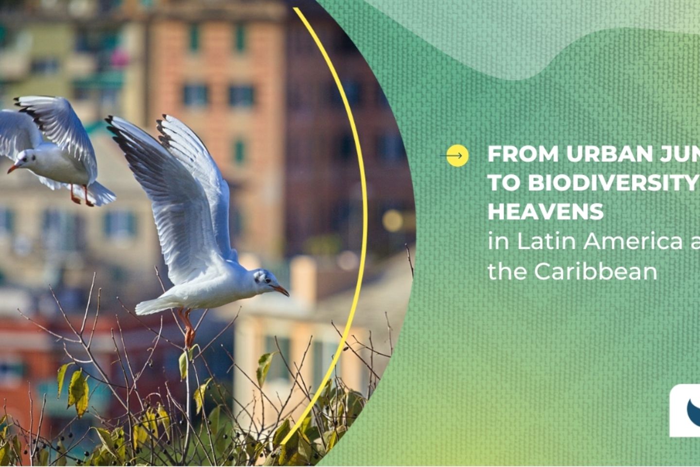 Biodiversity in Cities