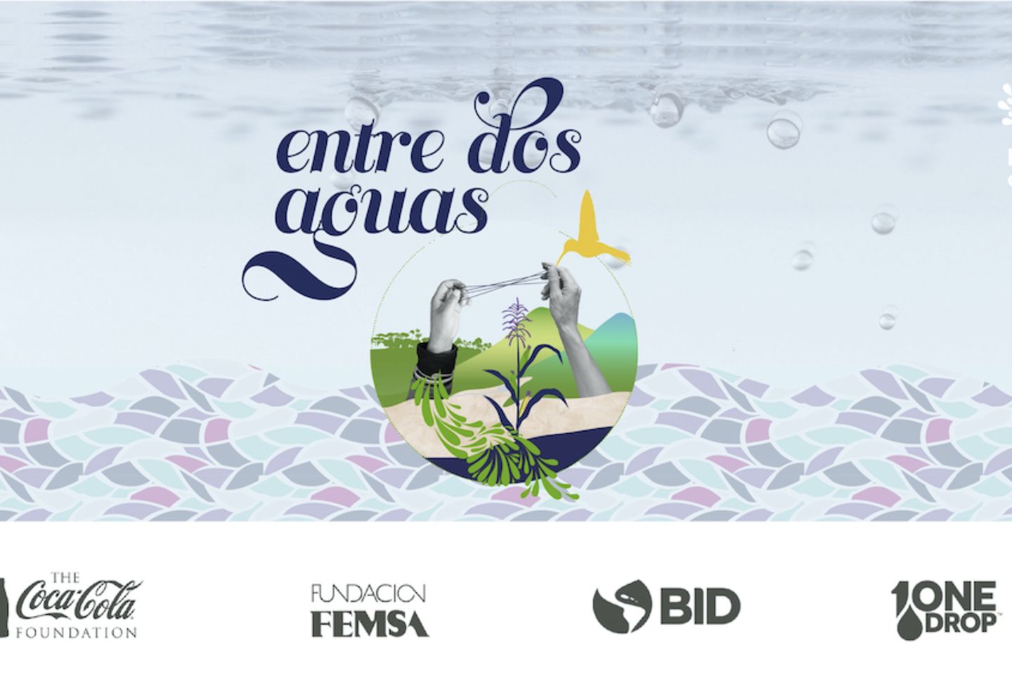 Blog_DosAguas_main.001