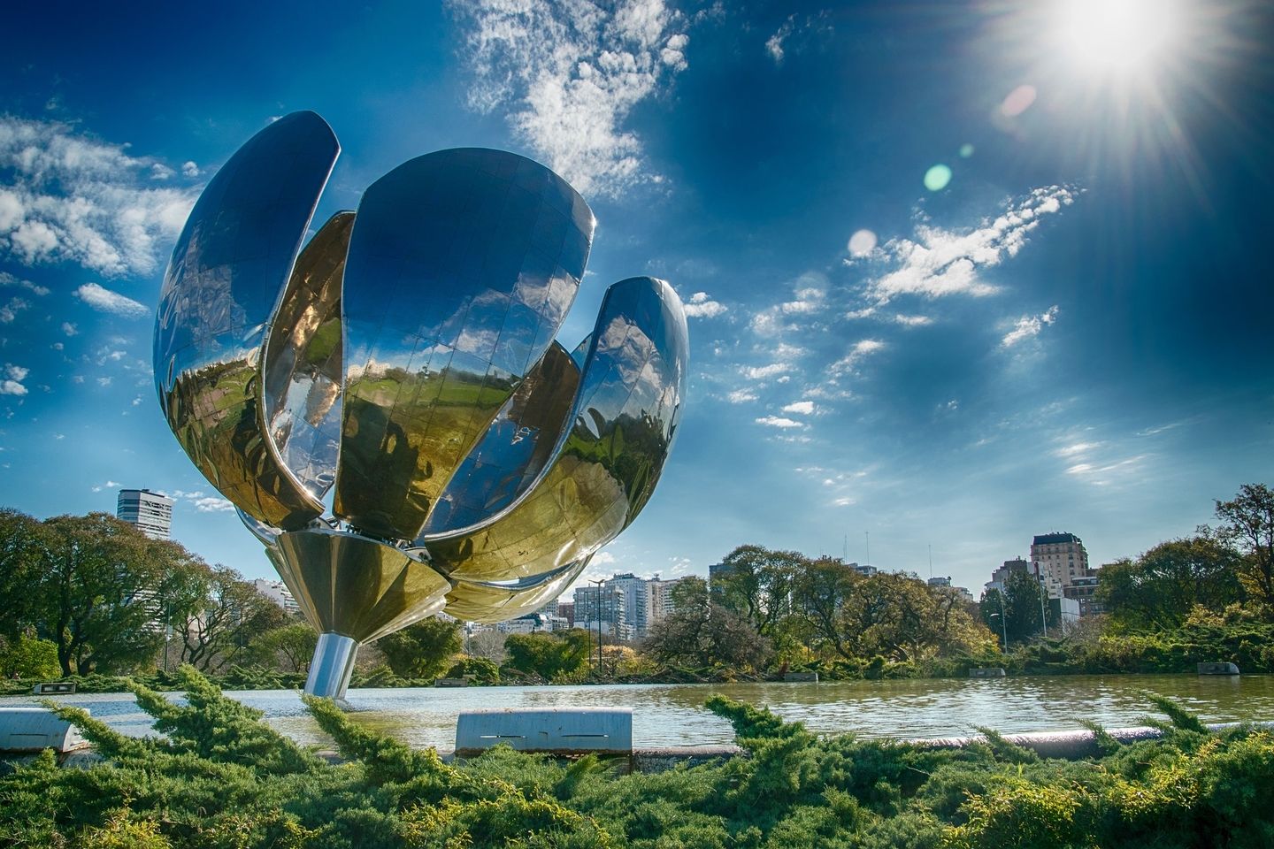 Blog_floralis-generica-6587192_1920