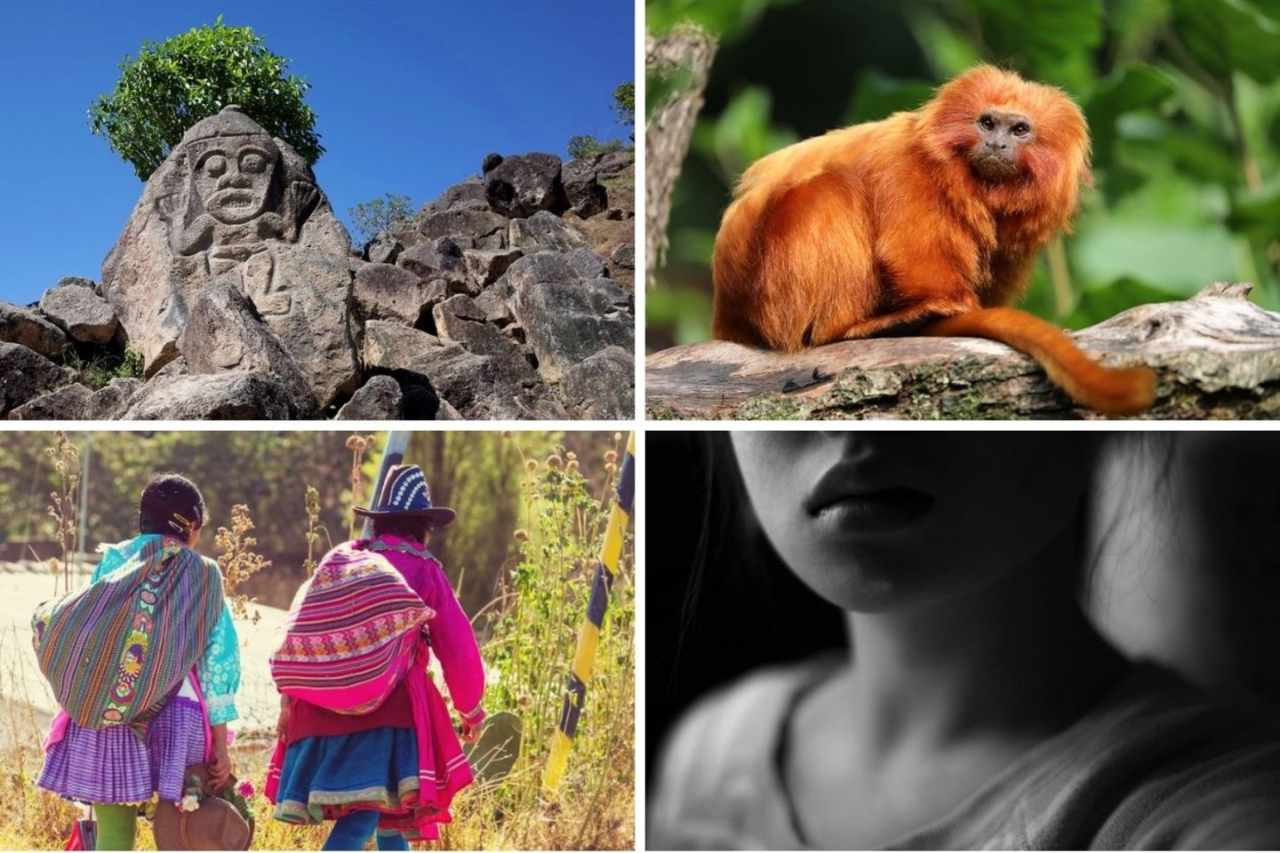 Blogs más leídos ESG 2021