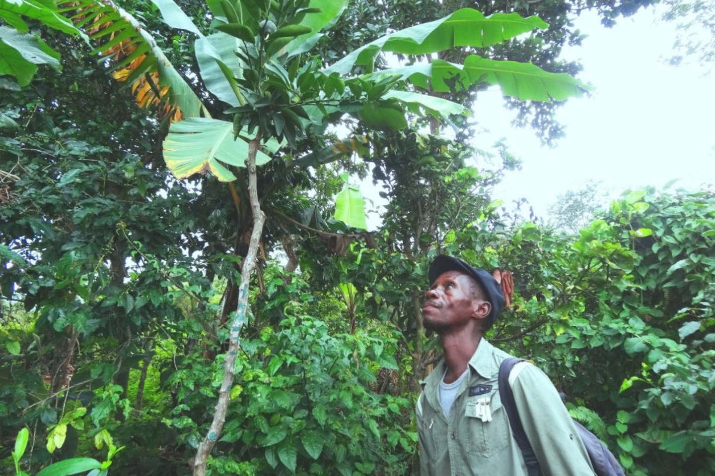 Byrd_Nov2015-143-1024x768