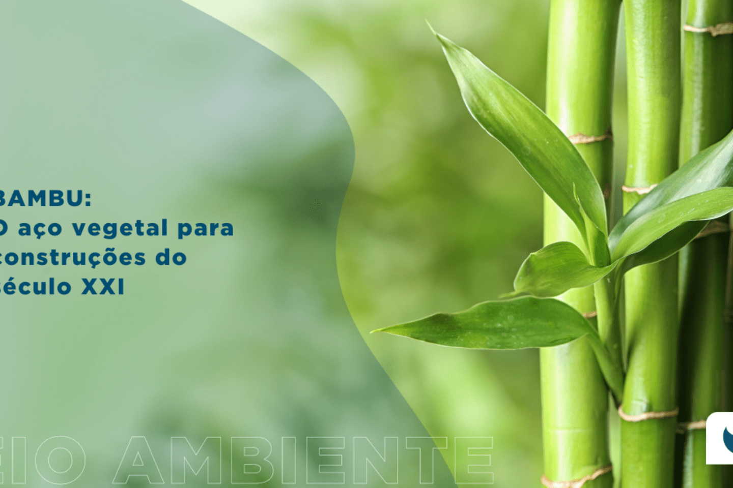 CBR_Blog_Bambu na Construção Civil