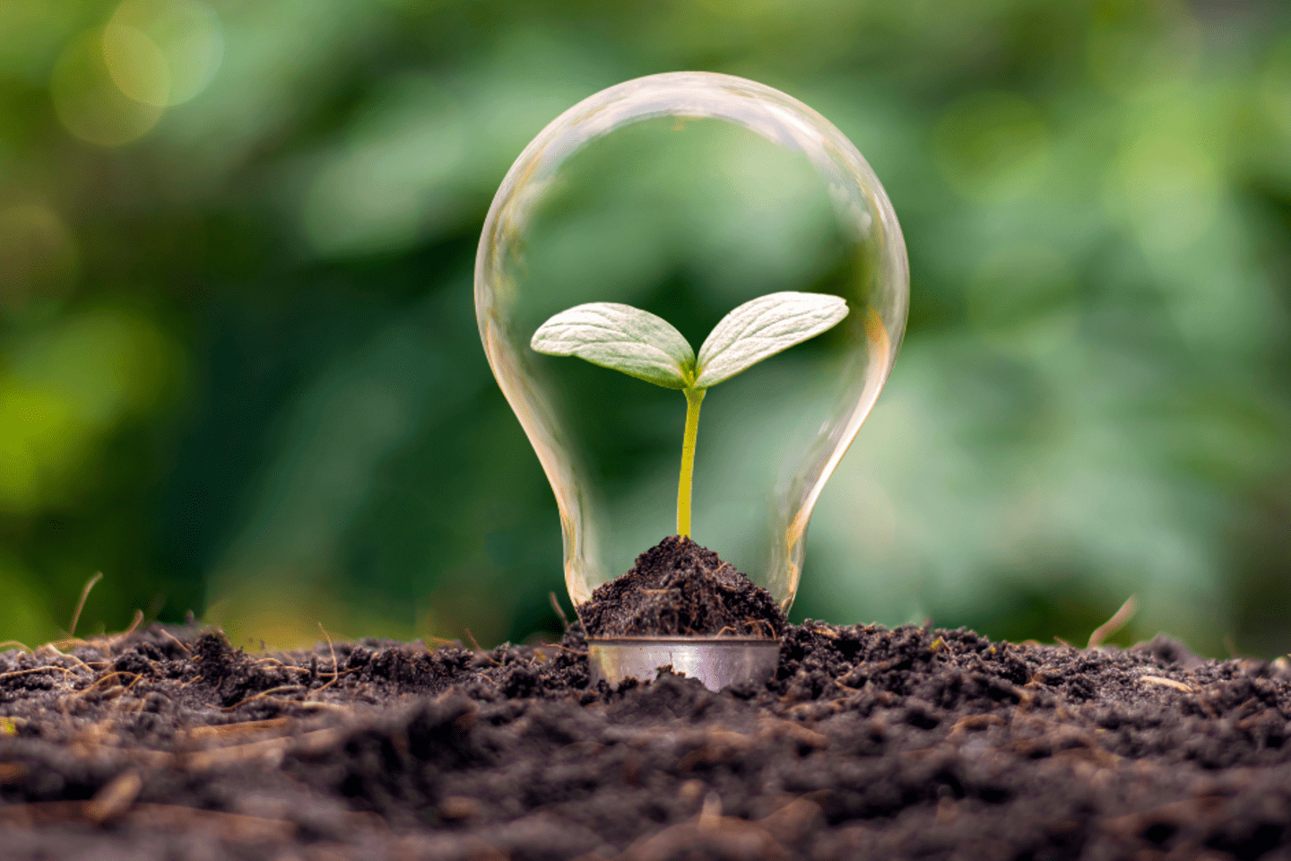 CBR_Blog_agricultura sustentável