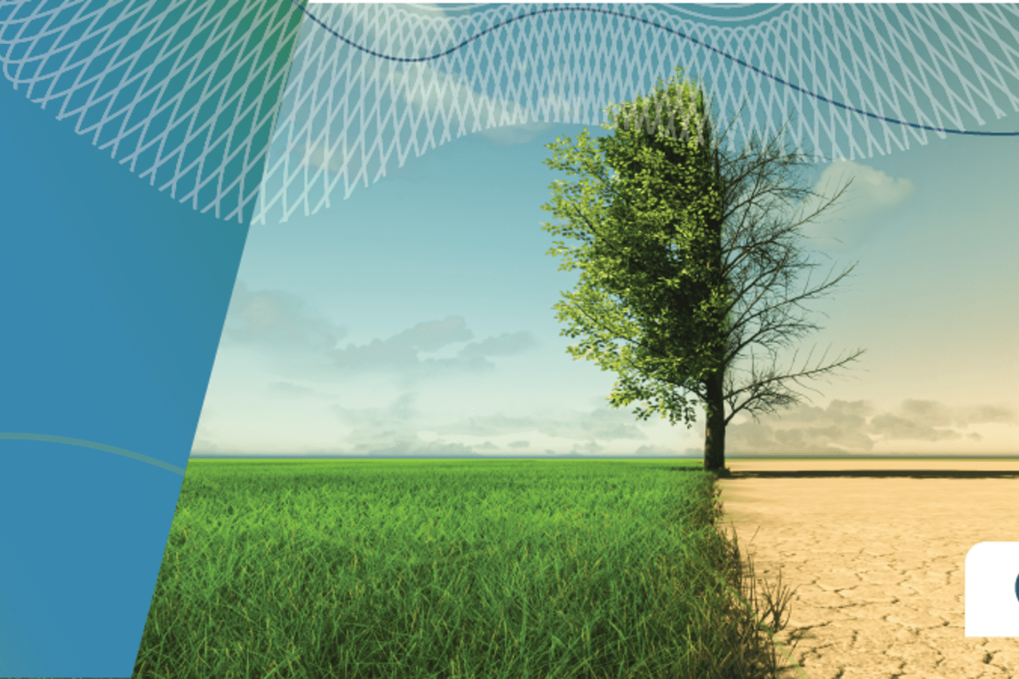 Cambio_y_migración_Banner