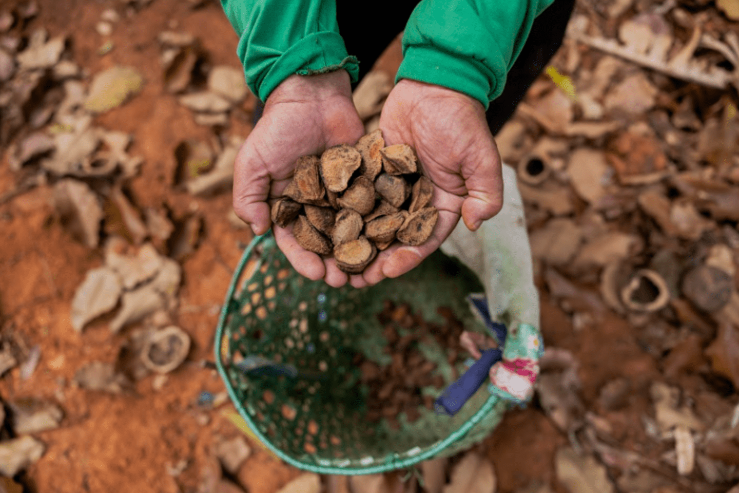 Captura de pantalla 2024-10-21 120840