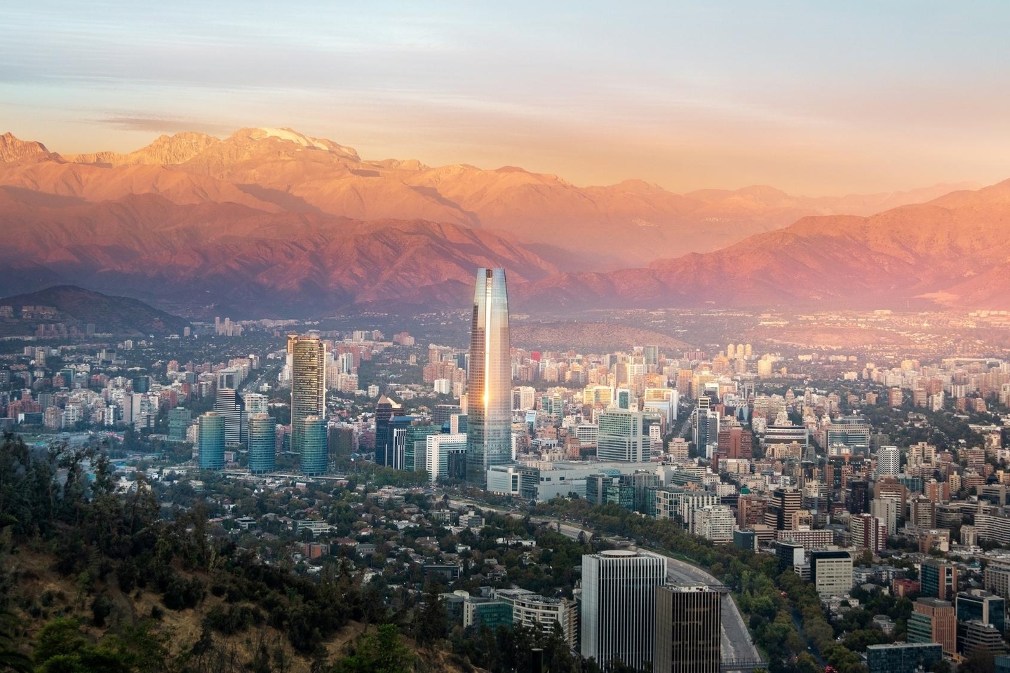 Cover photo LTS Chile mink